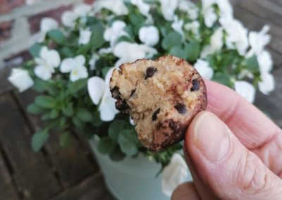 Energy ball cookie