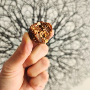 energy ball cacao/pécan